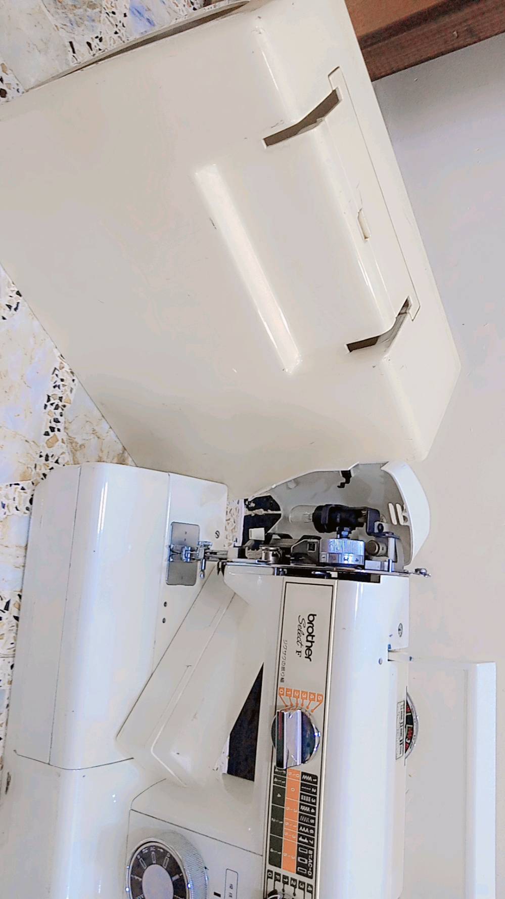 بغداد ام الكبر والغزلان 
