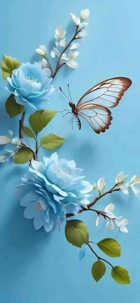 بو حجر • ١٠+ دونم • قطع زراعي