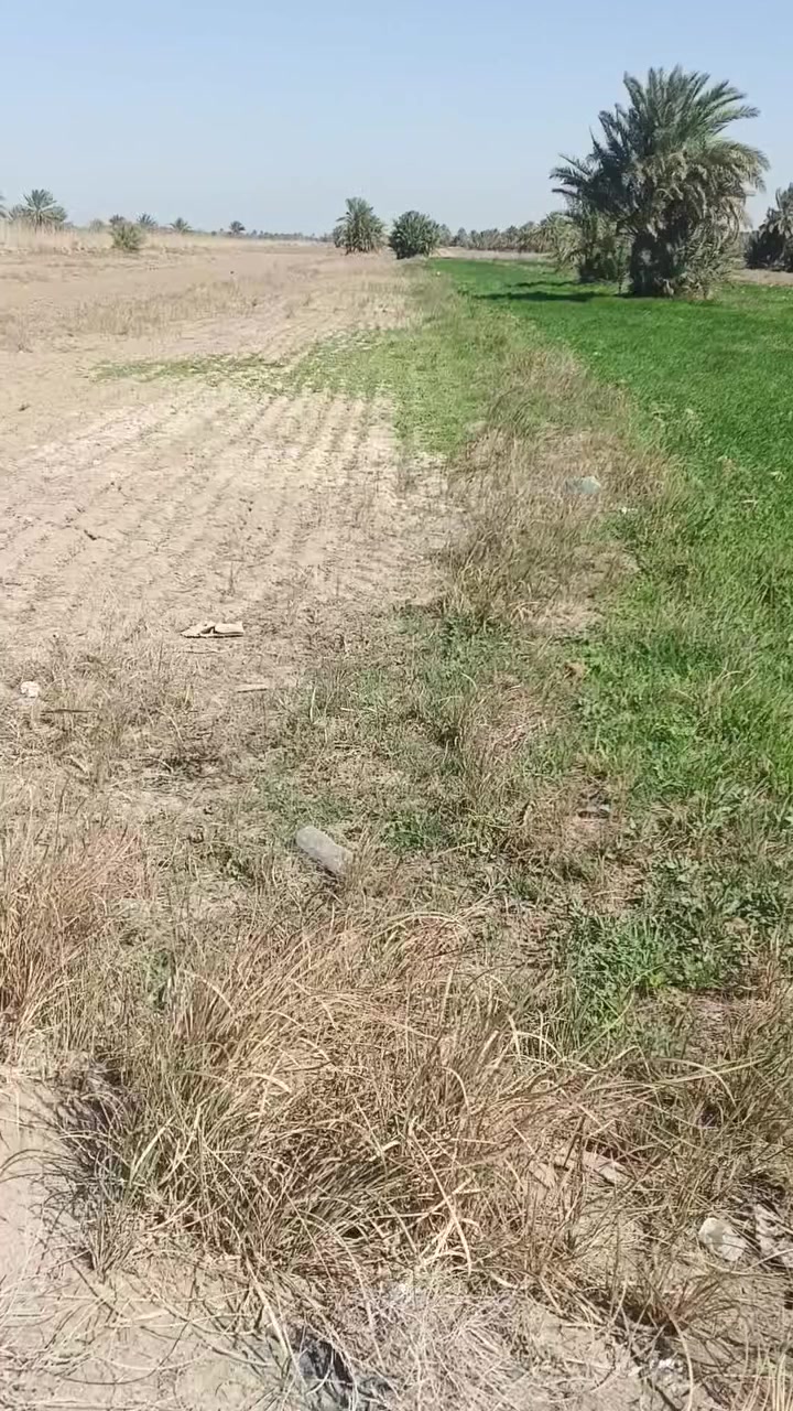 1600 متر طابو زراعي سند 25 
#كربلاء #طويريج #ناحية #الخيرات 
ابو رويه 
للعرض والاستفسار 
‏‪***********‬‏
