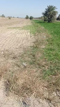 كربلاء طويريج • ١٦٠٠م • طابو زراعي سند ٢٥