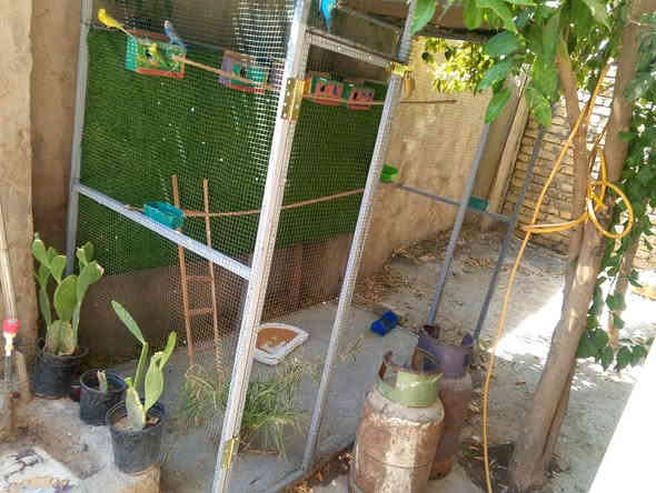 السلام عليكم قفص للبيع السعر خاص ***********
