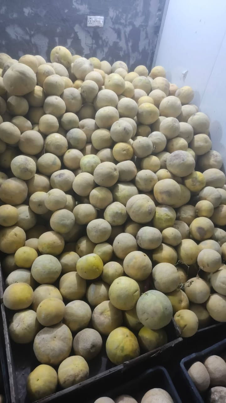 عرض نار بطيخ 3كيلو بلف وجماطه 3كيلو بلف برخص تراب لحلك كميه خير من الله عنوان لعلوه ابو علي الفقير سابقا حاليا علوه البركه مقابل مستشفى البناني زورونه متواجدين بكل وقت


**إذا كنت صاحب هذا الإعلان وتريد حذفه لأي سبب، رجاءا أرسل رسالة إلى الدعم الفني**