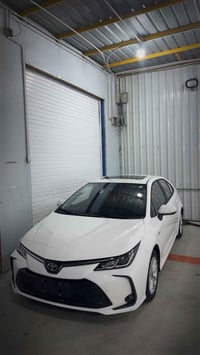 هايبرد • ٢٠٢٥ • رقم بصرة باسمي