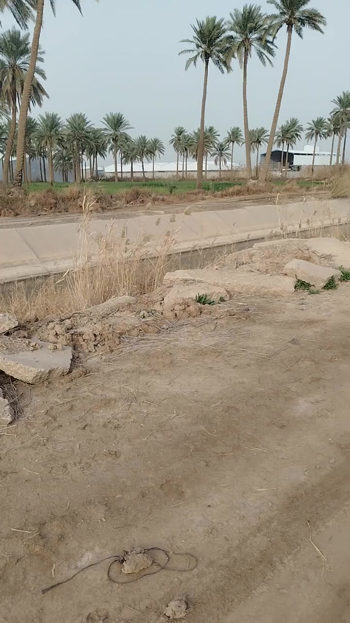 دونم للبيع ...حله جدول بابل 
***********
المهندس محمد الريس للعقار
