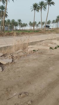 حله جدول بابل • دونم • ٢٥٠٠م