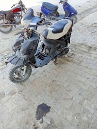 فراشه فحل • سلف • دوانيه شارع سالم