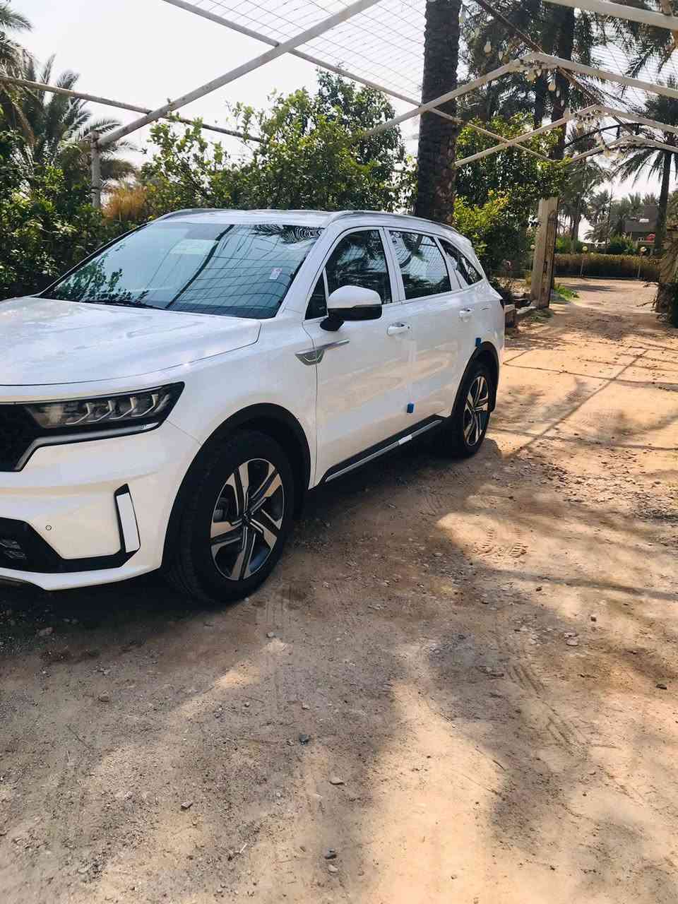 سورنتو 2023 ضمان الشركه الدوليه 
رقم بغداد أنكليزي بأسمي تحويل ثاني يوم 
مكفوله كفاله عامه حتى الدعاميات من الشخوط والرصعات 
فول مواصفات عدا البانوراما
ماشيه 16 حقيقي محرك وكير وضع الشركه 
تبريد حداديه تخم تاير كلها كفاله السياره زيرو 
السياره كارتون 
مكان بابل السعر 292 $
للأستفسار أتصال( *********** )
