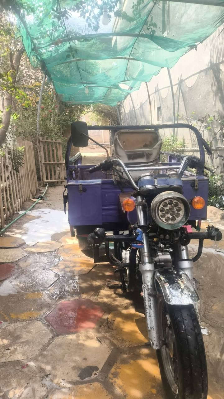 السلام عليكم ستوته للبيع جمرة موديل 20 أوراق الستوته مجفته مرا وحده السعر مليون ٣٥٠ بيها مجال للطيبن مكاني القرنه رقم الهاتف ***********
