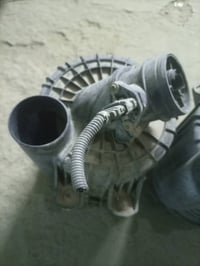 شوته فحل اصليه السعر 30 ويوجد توصيل 07801055876