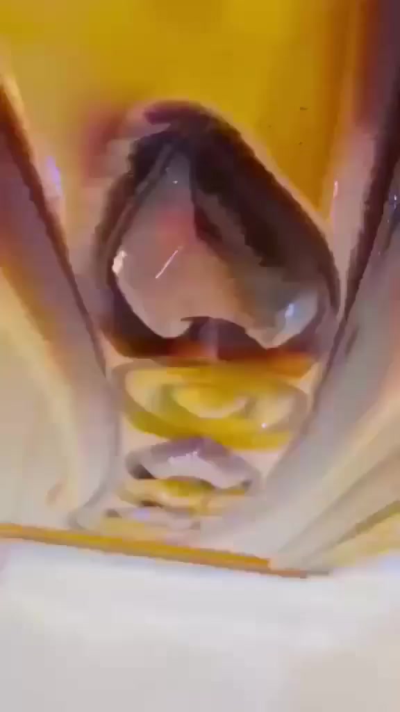 ٧٠٠مع نقل وشد


**إذا كنت صاحب هذا الإعلان وتريد حذفه لأي سبب، رجاءا أرسل رسالة إلى الدعم الفني**