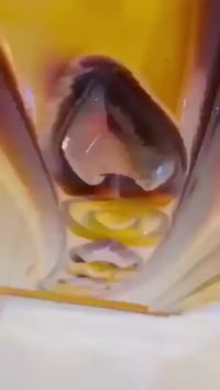 غرفه اخشاب • نقل • شد