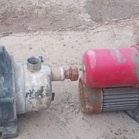 للبيع ع الفحص مملعوب بيهن ثنينهن 100 الف /07807120196