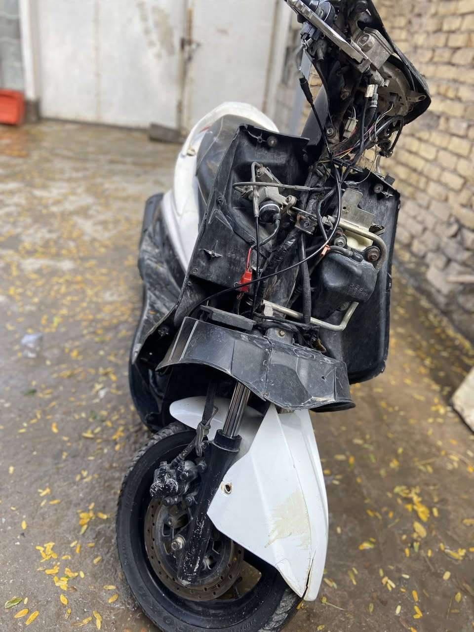 سلام عليكم سكنس فحل كابريتر دراجه شوفت عين بيع او مراوس مكاني بغداد الشعب ***********
