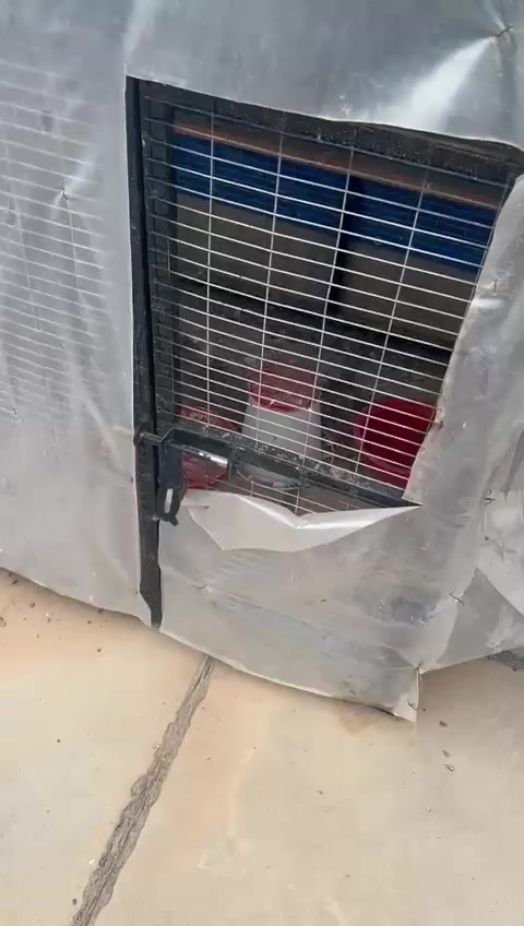 سلام عليكم قفص للبيع سعر 100مع مجال قليل قياسات مترين ارتفاع مع متر ونص عرض مع متر مكان حي واسطي تواصل ***********
