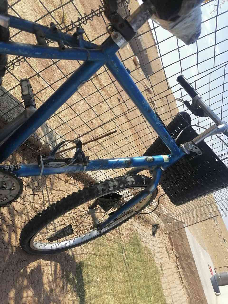 للبيع نضيف كلشي جديد بي السعر 60


**إذا كنت صاحب هذا الإعلان وتريد حذفه لأي سبب، رجاءا أرسل رسالة إلى الدعم الفني**