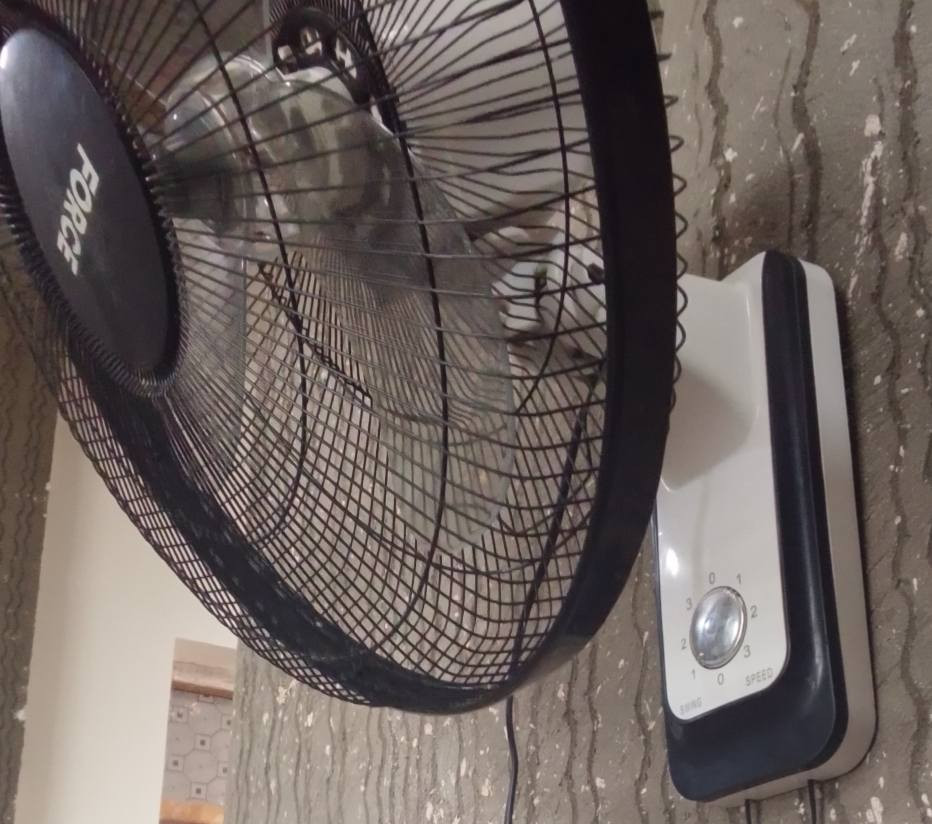 السعر الوحده 10 الف قفل
شغلات تجي شغلهن وتأخذهن
كلما انشر ميطلع تعليق 
***********
