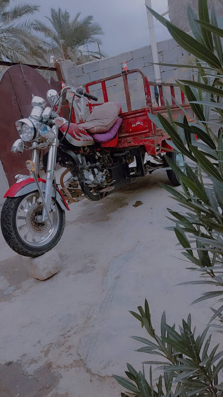 سلام عليكم ستوته للبيع موديل 2018اكسن 7 ستوته اصولي اورق وكيله الجنابي اكتبك ويه الوكيل ستوته نضيفه برغي ماعيزه مكاني نجف كوفه علوه الفحل شراي اتصل على الارقام ***********
***********
