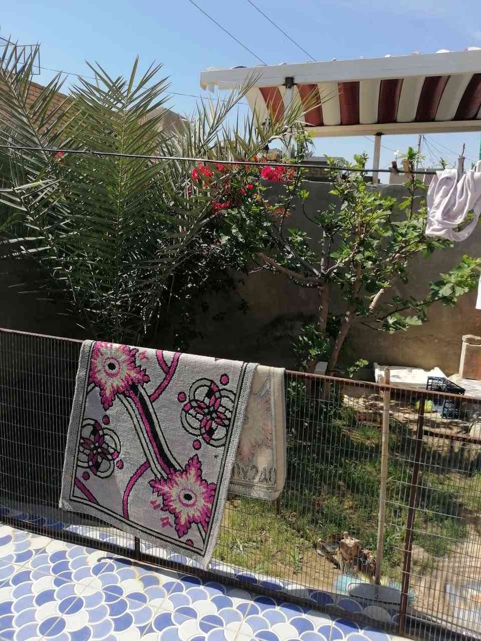 السلام عليكم بيا الزراعي للبيع سند 25 باسمي داور ثاني يوم مساحه البيت 280 متر يحتوين من بناء غرفتي النوم صاله ومطبخ وحمام وبراني صحيات خارجيه وداخليه حديقه جاهز وممر مسقوف سندويش بناء البيت اساس بدله صب ومطعم بلوك وطابوق يبعد عن الشارع العام 150 متر قرب البلديه مال الشافعيه الاتصال على الرقم ما اتواجد على الفيس***********
