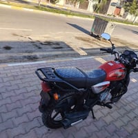بوكسر • نضيف • فول