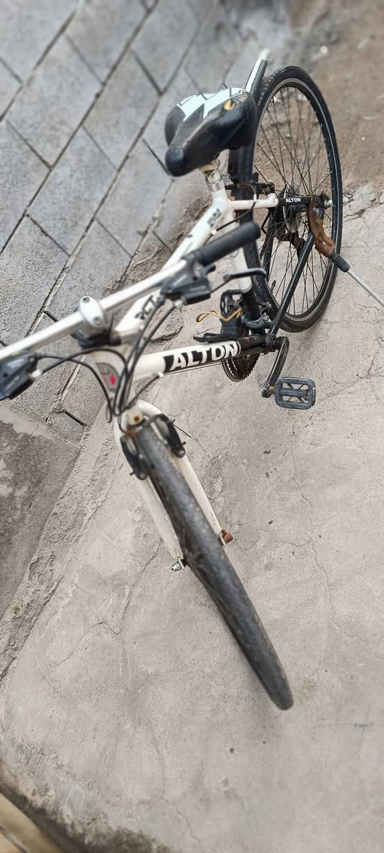 سلام وعليكم متاح بايسكل ياباني فافون نضيف كلش كلشي بي شغال بريك خلفي وامامي + بداله شغاله مابي اي نقص السعر 110 العنوان البصرة / القبله / حي المهندسين.. الاستفسار ع الرقم ***********
