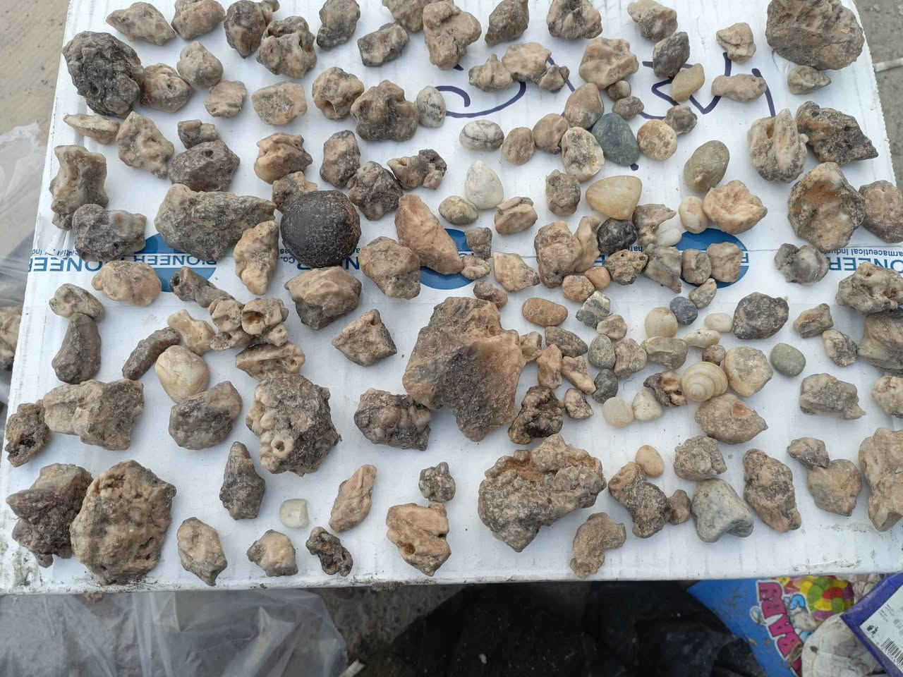 أحجار للبيع


**إذا كنت صاحب هذا الإعلان وتريد حذفه لأي سبب، رجاءا أرسل رسالة إلى الدعم الفني**