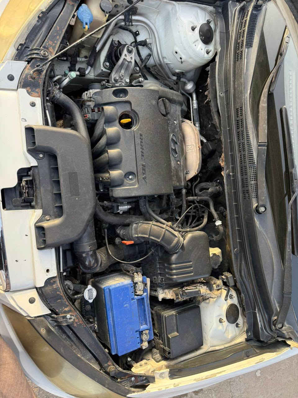 النترا 2011
دكشن عالي
مصبوغه عام ومتجايه 
وبيها مجال 
رقم صاحب السيارة 
*********** النجف, العراق
