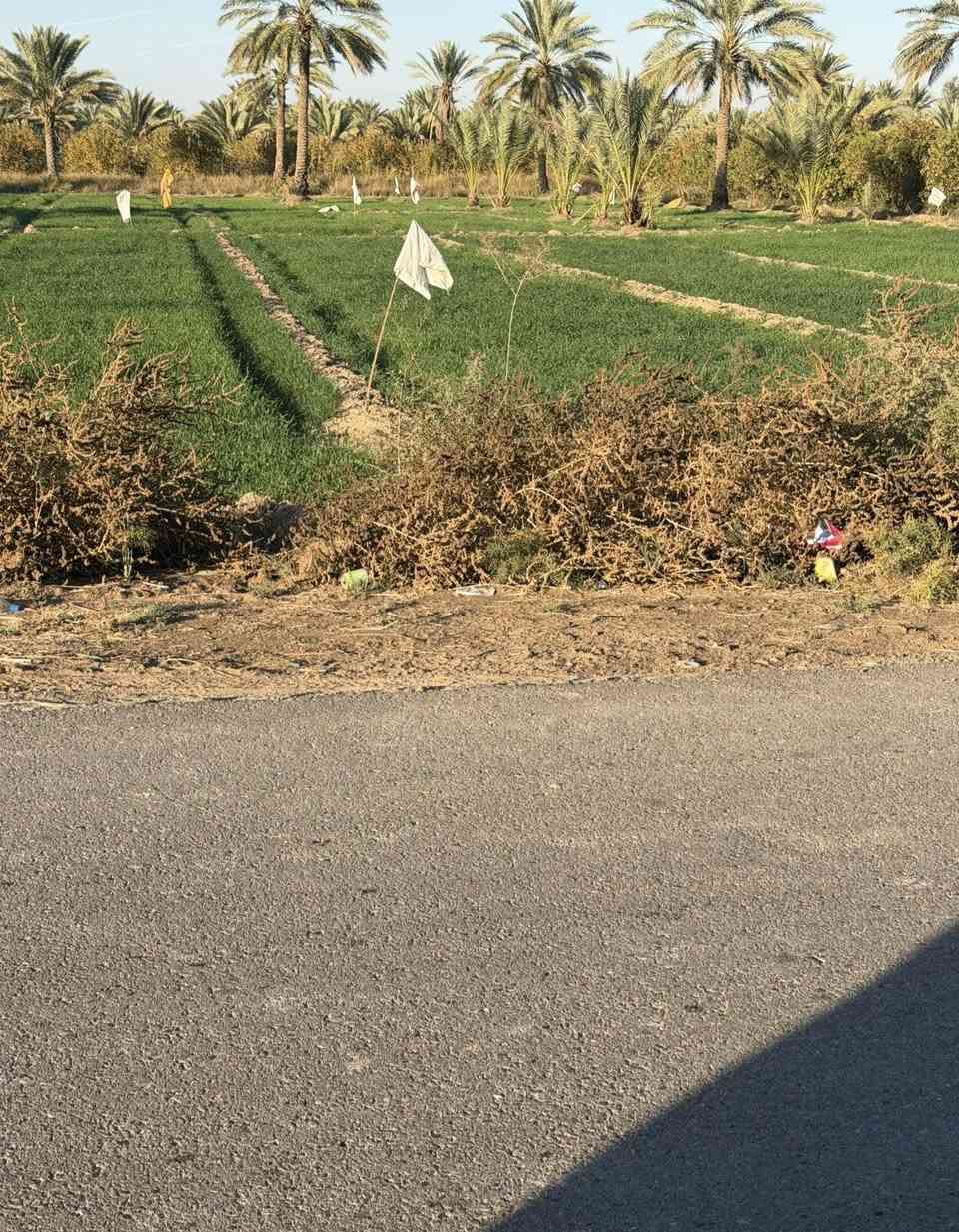 السلام عليكم بغداد الراشدية ثلاث3 دوانم   السعر الدونم واحد سعرها75بية مجال
واجها50النزال150

سند25طابو 

سندد25حق التصرف افتح بيان واحول ابسمك 

ماي ساله ماي سكي واكهرباء 

الاستفسار ***********

— في ‏بساتين الراشديه‏.
