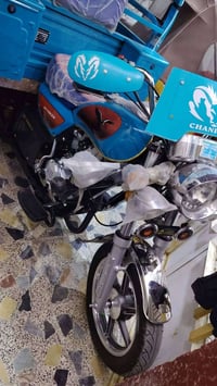 شباب ستوته صقر 2025 للبيع السعر 2500. قفل07843072555