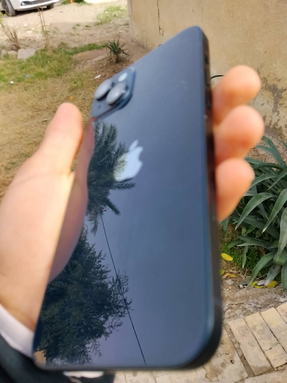 مراوس ب13برو ماكس


**إذا كنت صاحب هذا الإعلان وتريد حذفه لأي سبب، رجاءا أرسل رسالة إلى الدعم الفني**