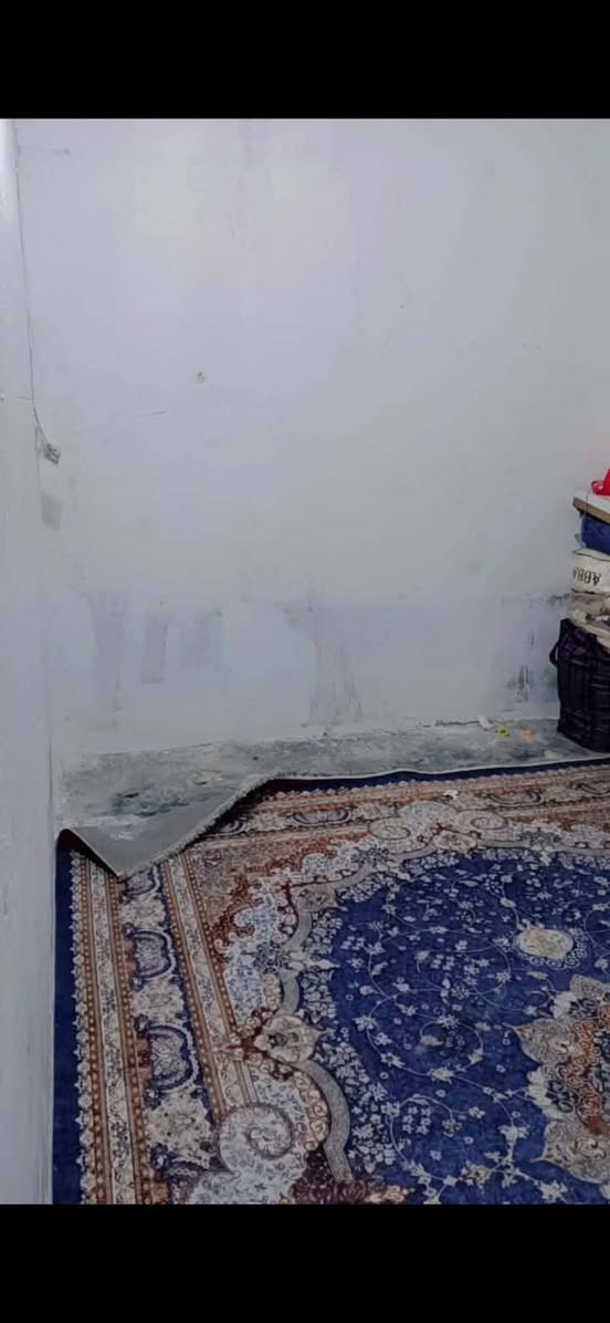 بسعر جدا مناسب دار طابو صرف  للبيع خلفي
مساحه 144متر مدخل5متر
طابق واحد عكاده
يتكون من غرفتين نوم وصاله واستقبال وصحيات وطارمه وسطح السعر60قابل لتفاوض
العنوان كربلاء قرب كراج حي العامل وثالث بيت عن الشارع العام
حبايب رقمي بي واتساب راسلني ومباشر تتحول على ابو البيت رسمي ***********
