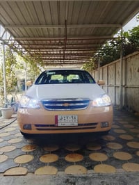 اوبتره • ٢٠١١ • اصفر الزعفرانية