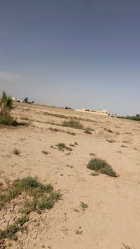 ٧٠ دونم • الرائده يم الكتبان • جاهزة للزراعة