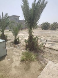 بيت مع أرض • ١ دونم • الشهابي
