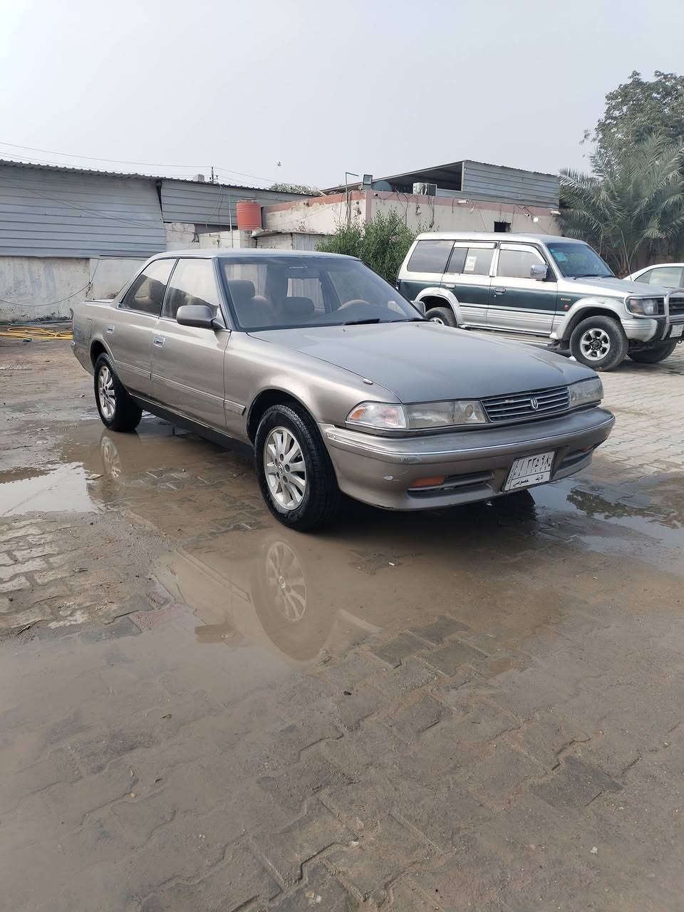 السلام عليكم مارك رقم نجف للبيع موديل 91 سنويه ساقطه تحويل ثاني يوم السياره لا ضربه ولا قص ولا عيب شرعي السياره عدله محرك ونجي ناعم جير مقفول تبريد شغال السياره شوفه عينك حداديه جديده تخم تاير جديد كهرباء شغاله شاشه اربع سماعات والسياره شوفت عينك مكاني نجف شارع المطار والسعر خاص وهذا رقمي***********
