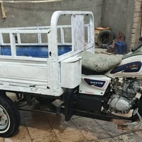 ستوته • موديل 19 • مجال