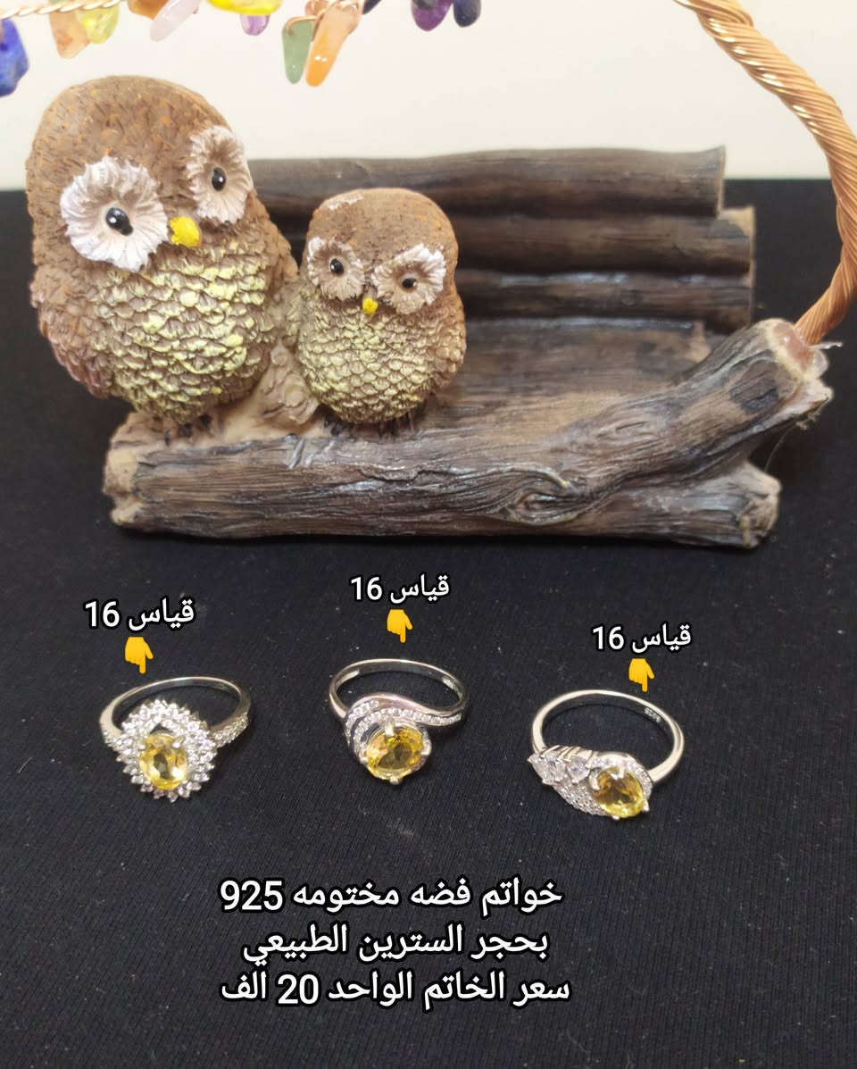 #خـواتـم_مـنوعـه❄️💐
مـجمـوعـة مـميـزه واصـلـيه مـن خـواتـم فـضـه مختـومـه 925 بأحجـار كريمـه طبيعيـة 💗
💞(رجـالـي ونسـائـي)💞
للحجـز والاستـفسـار يرجى مراسـله الصفحه 🌼
او واتسـاب الصفـحه *********** 💙
عنـد الشـراء بقيـمه تزيـد عـن 25 الـف ديـنار تقـدم هـديـه 
#القياس_داخل_الصور 💛
#الاسعـار_داخـل_كل_صـورة 💜
#توصـيل_5_الف_لكـافة_المحافظـات 🚕🏡🌺🏍️
