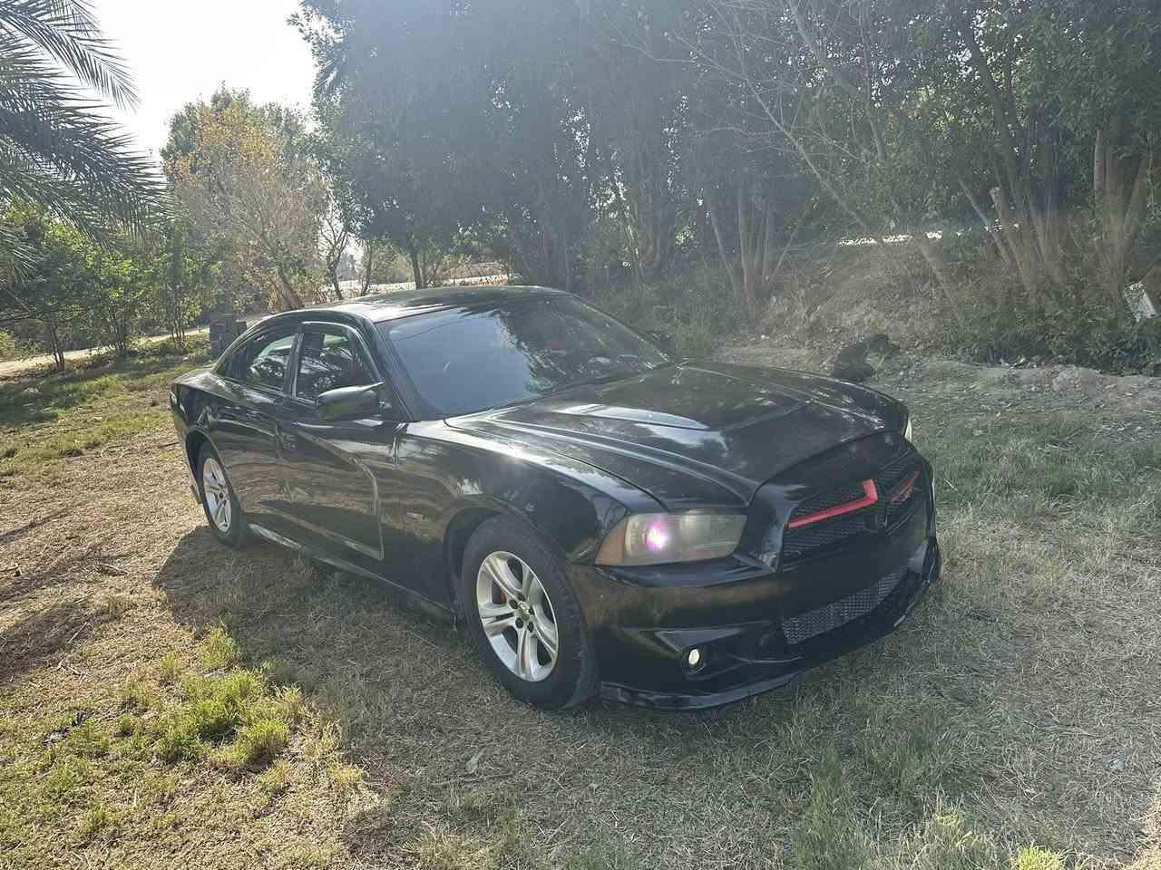 يالله.  جاجر موديل ١١. مكينه. وكير. مكفولات.
حداديه وتخم.تخم. تاير. ٩٠/١٠٠ كهرباء كله. شغاله 

رقم. بغداد. بسمي. تحويل. مباشر. 

سياره. مكفوله. من اي ضربه قويه. شاصي. مكفول.  بيها. من امريكه. ضربه خفيفه. بل. جاملغ. الأمامي. عكس. السايق. وبل. عراق. طخات. خفيفه. ورشات. صبغ. 

مكفوله من الصبغ. العام. ومن. العيب. الشرعي. وكافه. الأصوليات. 

مكاني. ناصريه. رفاعي. ***********

ملاحضه. السياره. . فول. موصفات. تحكمات. فتحه. فول وفول  السعر ١٢٨ وبيها. مجال.
