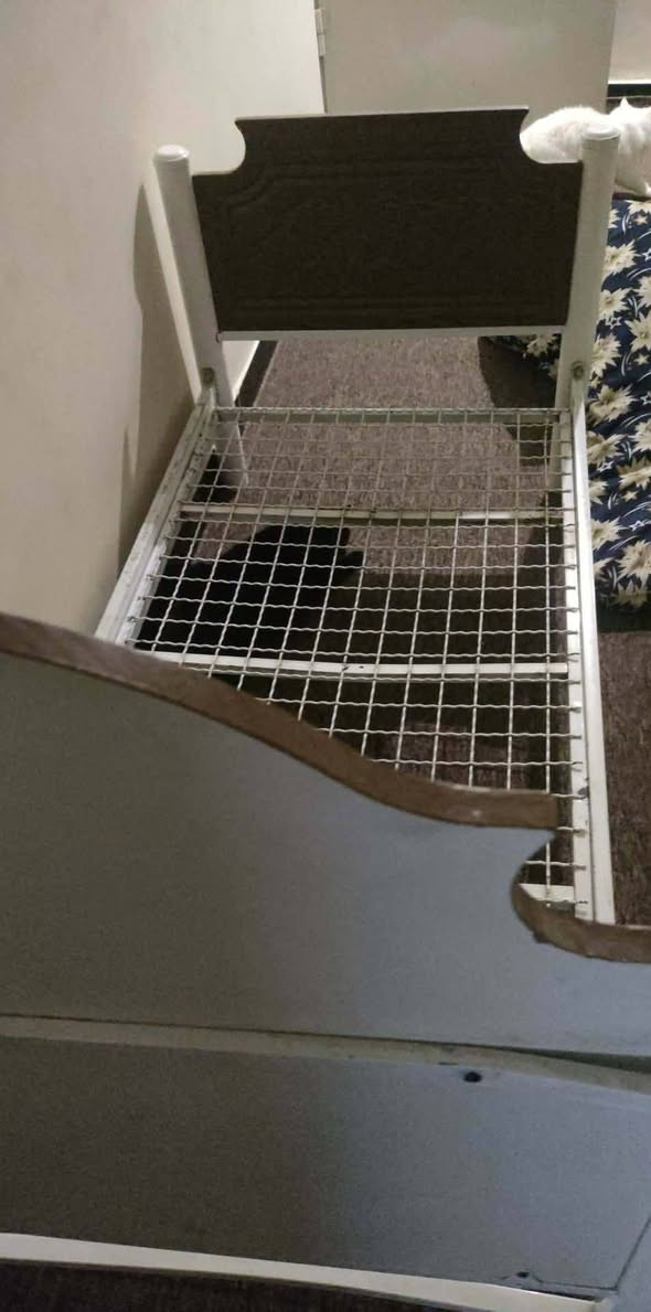 البيع ***********
