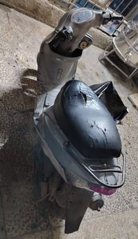 ماكس منغولي ١٢٠   ما مفتوحه  كفرات ختم واحد   دهن كل ١٥ يوم ابدله  مكي...