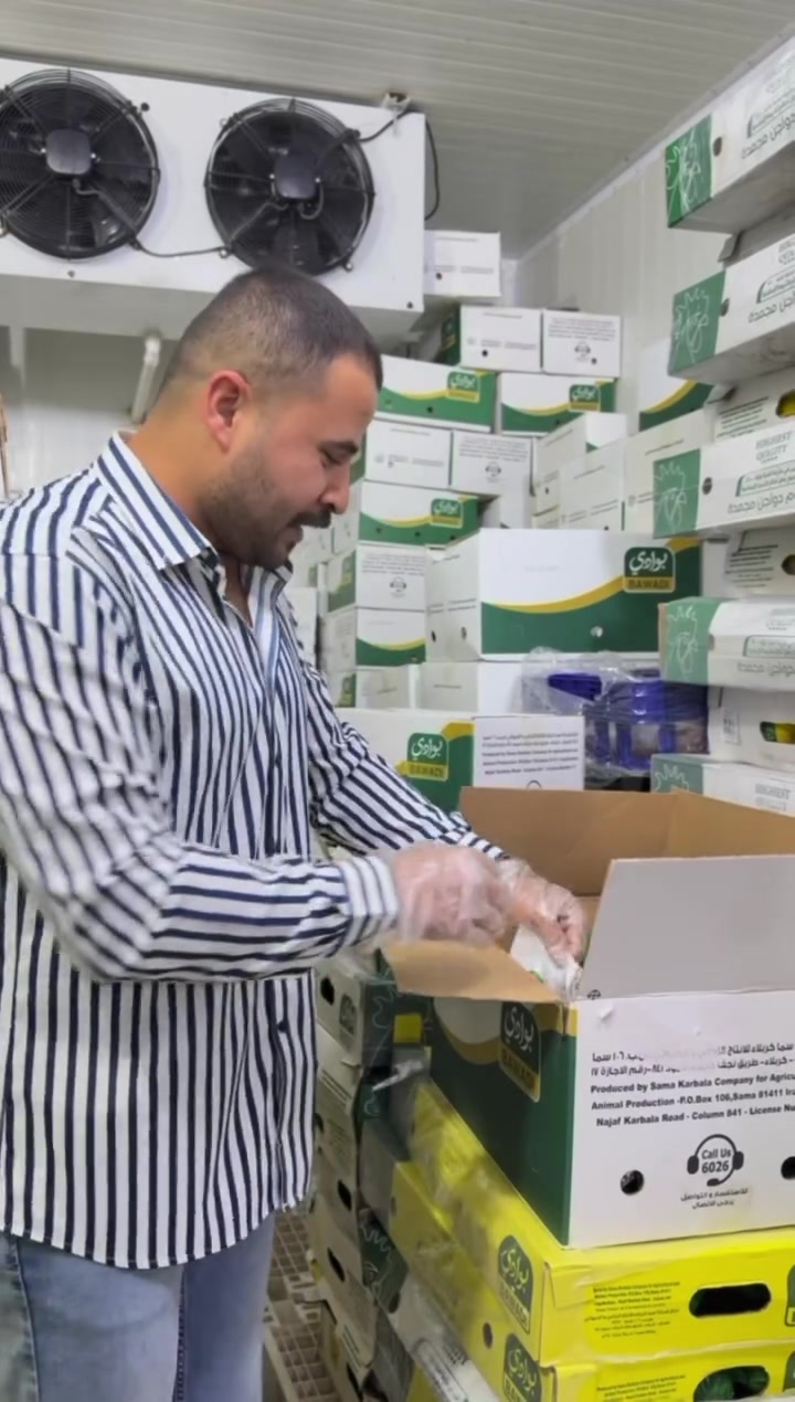 تريد تسوي ريزو ثواب
وفرنالكم ستربسالكارتون تحتوي على 10 كيس
سعر الكارتون 58وربع
🐓الوكيل جيار الزيدان
📍عنوانا محافظة واسط قضاء العزيزية
📞***********علي ستار الزيدان
📞***********سراج ستار الزيدان
#واسط
