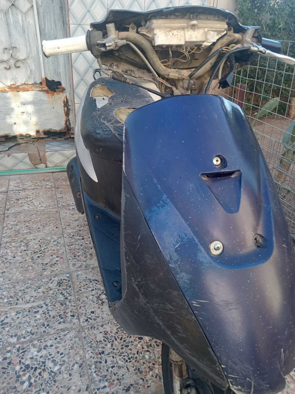 سلام عليكم شباب دراجه للبيع دراجه سازوكي جنطه دراجه تخبل مكينه شرط نعومه وشلعه ومعدل ب٥٥ شرط تأيرات جدد ودراجه مفتوحه بس بوشه وبستم وكفراتهاا ماموحدات وسعر ١٣٠ بيهاا مجال قليل جدن ومكان حولي الاف دار شراي خاص


**إذا كنت صاحب هذا الإعلان وتريد حذفه لأي سبب، رجاءا أرسل رسالة إلى الدعم الفني**