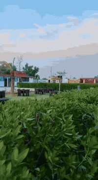 اهلا وسهلان فيكم مطعم وحدائق كرم هلنا العنوان بسمايه محلات بسمايه القديمه مجاور علوه ام البنين ✨✨توصيل اتصال على الرقم  ***********🚕 مطعم كرم اهلنا  فؤاد عماد العكيلي
