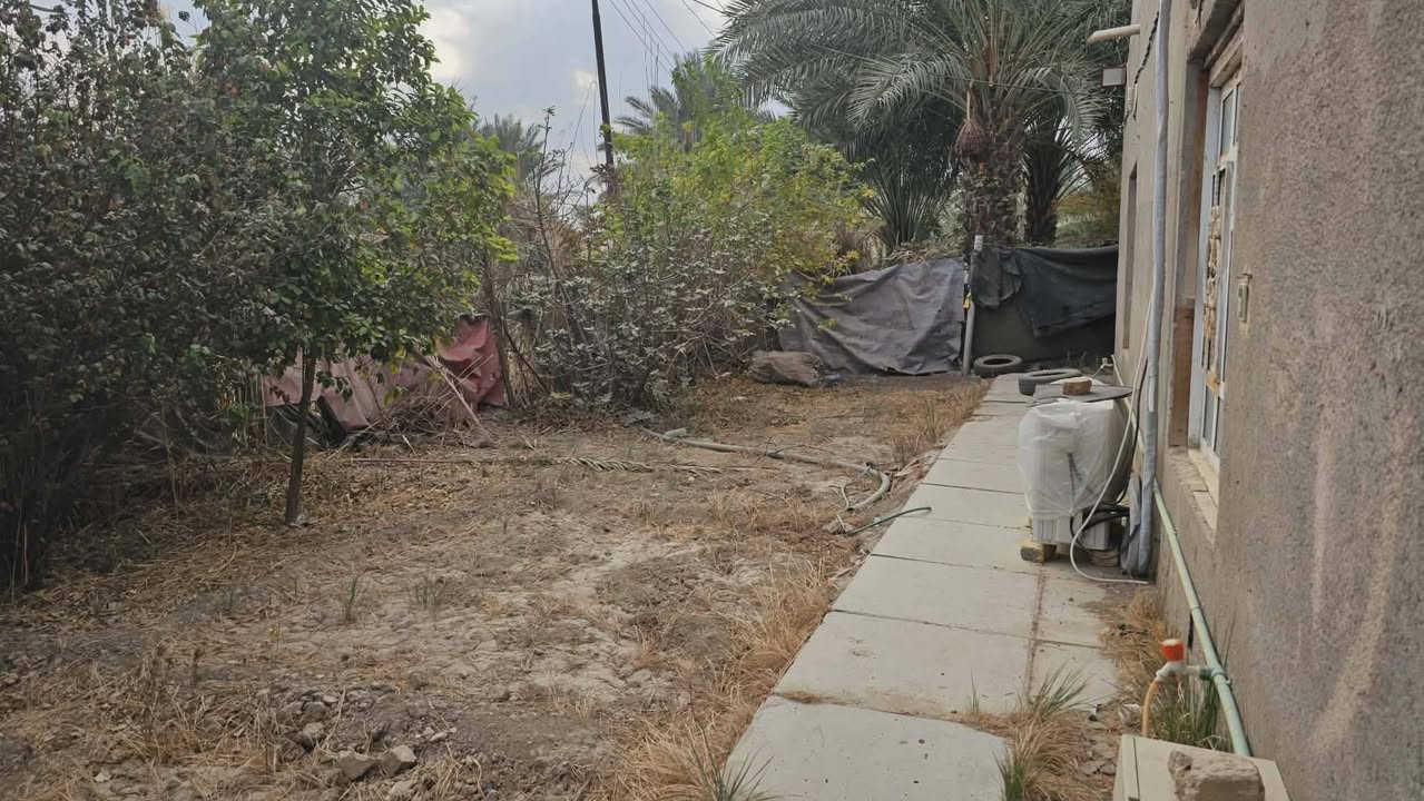 السلام عليكم ورحمة الله وبركاته يوجد الدينا بيت للبيع مساحه البيت الكليه 650
بناء 200 بلوك بي غرفتين مساحه 5×3 ونص
صاله 12 ×4
مطبخ 3ونص ×3 ونص 
براني 4×5ونص 
صحيات حمام وتواليت ومنزع داخلي وحمام وتواليت خارجي 
مجاري جديده وماي جديد درجه اوله البيت وياه كاونتر تسكام وجديده بعده وياه سبلت كنتوري 1 منصوب ما و2 طن منصوب ومكيف مستعمل كلهن منصوبات بس ما مشتغلات  ومحل 5×4 وحديقه داير البيت انواع الفواكه  ونخل البيت اثثته وماكاعد بي الأرضيه شتايكر وصطح شتايكر ***********
