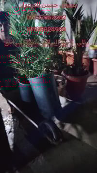 فسائل • ضمان حتى الاثمار • منظومة سقي