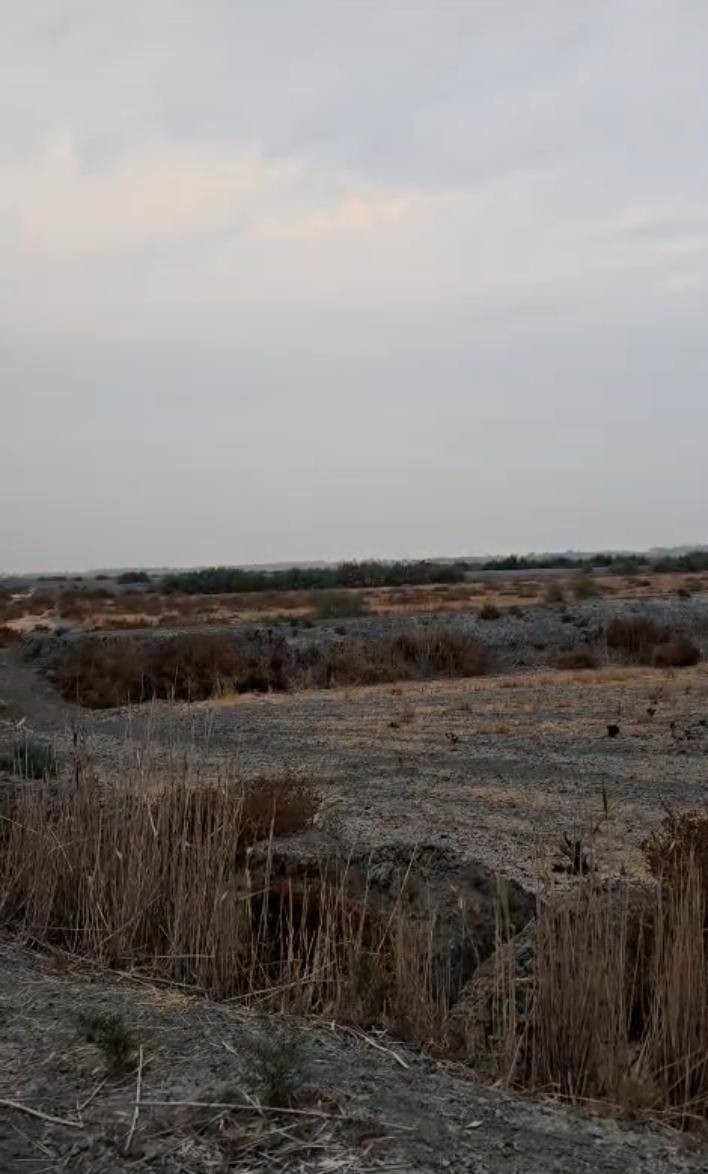 @إشارة 
قطعة ارض للبيع في بابل على طريق سده محاويل ١٢٠ دونم تبعد عن الشارع ١ كم سند 25  تحويل مباشر الأرض حلوه وزاعيه الشارع مالته ١٠م عرضه السعر ٣٩مليون للدونم الواحد وبيه مجال
للاستفسار الاتصال على الرقم 
***********
