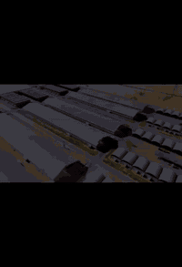 النجف الاشرف • وكيل