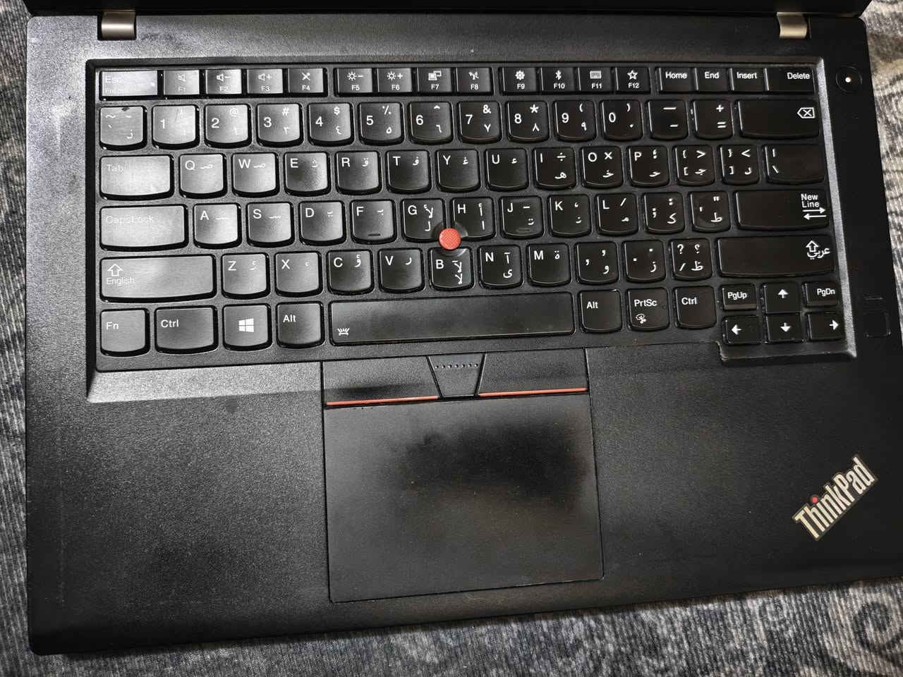 💻 للبيع Lenovo ThinkPad – أداء ممتاز وسرعة عالية

✅ المعالج: Intel Core i7-8550U (الجيل الثامن)
✅ كرت الشاشة الخارجي: NVIDIA GeForce MX150 2GB DDR5
✅ كرت الشاشة الداخلي: Intel UHD Graphics 620
✅ الرام: 12GB DDR4
✅ التخزين: SSD 512GB سريع
✅ بصمة إصبع لتسجيل
مفعل ويندوز 11 برو دائم

جهاز من سلسلة ThinkPad المعروفة بالمتانة وجودة التصنيع، مناسب للدراسة، العمل، البرمجة، التصميم الخفيف، ويشغل ألعابًا مثل GTA V وValorant وCS2 وFortnite بإعدادات مناسبة، مع سرعة ممتازة

+ ماوس و جنطة اشتريتهن ب50 الف هدية 
السعر : 344000 و بيه مجال للشراي
الرقم : ***********
