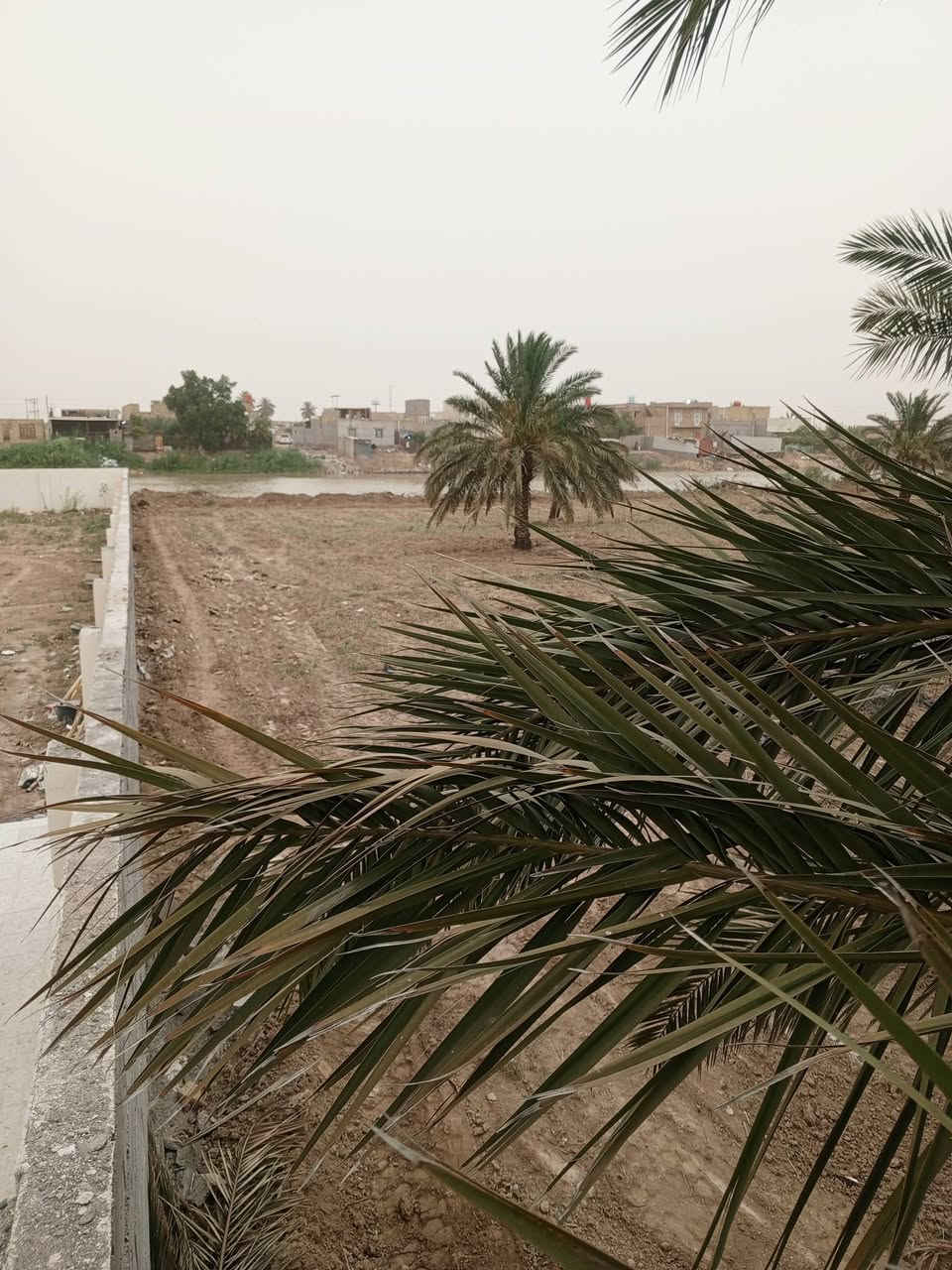 نص دونم البيع شاطية مقابيل زيوت تصال ع رقم ‏‪***********‬‏
