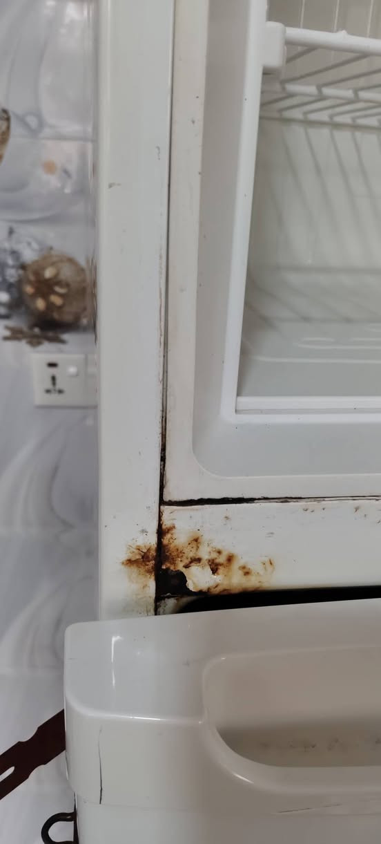 ئم سلاجمان هيه بو فروستن ***********
