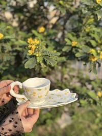 اكواب بنترست • بأنسب الاسعار • ديكور